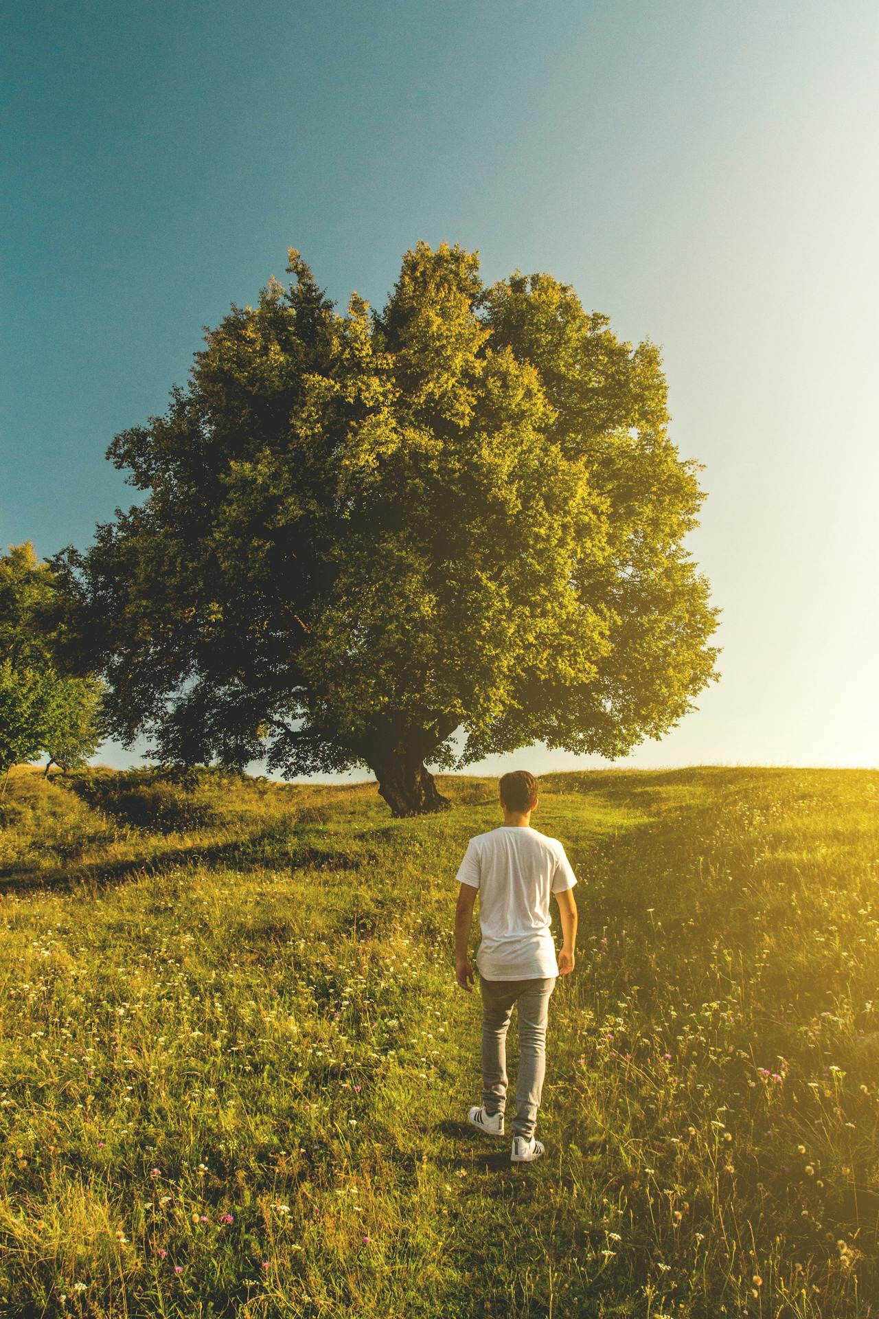 A person walking in a city park